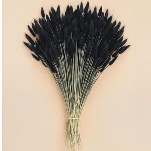 100 PCS Black Bunny Tails Dried Flowers